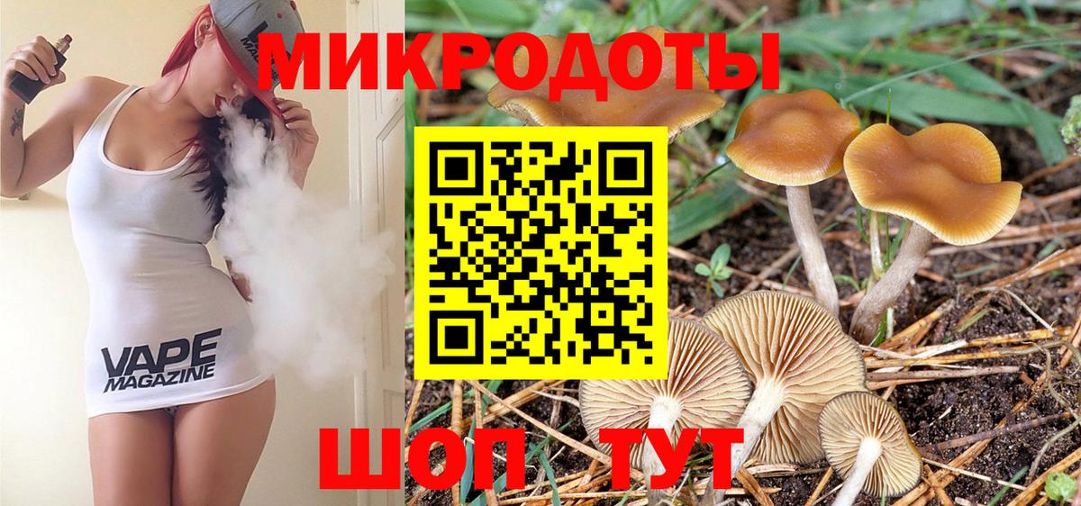 Галлюциногенные грибы Psilocybine cubensis  Псилоцибиновые грибы GOLDEN TEACHER  Чебаркуль  Вход с VPN 